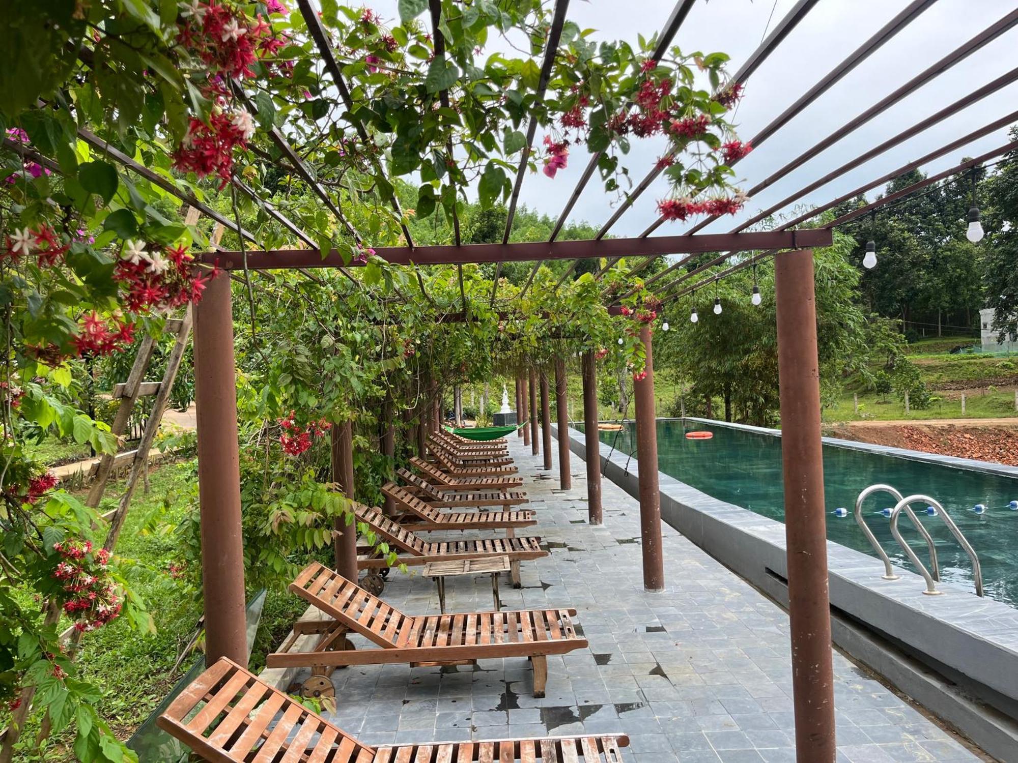 Nguyen Shack Retreat Resort Phong Nha Eksteriør billede