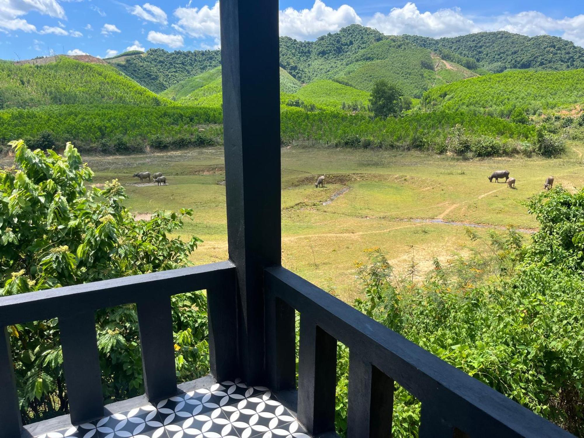 Nguyen Shack Retreat Resort Phong Nha Eksteriør billede