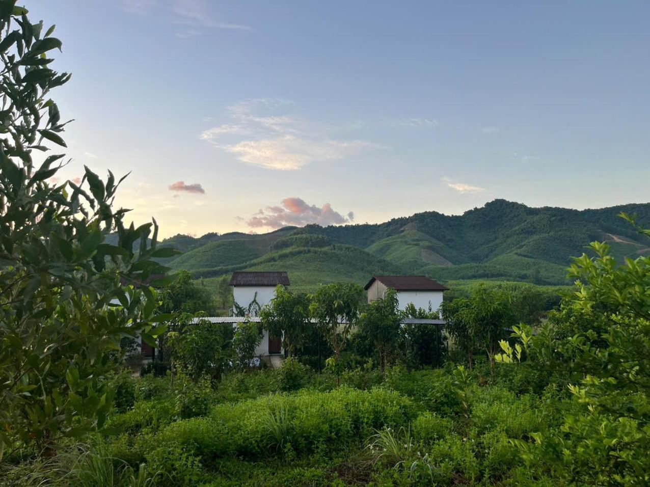 Nguyen Shack Retreat Resort Phong Nha Eksteriør billede