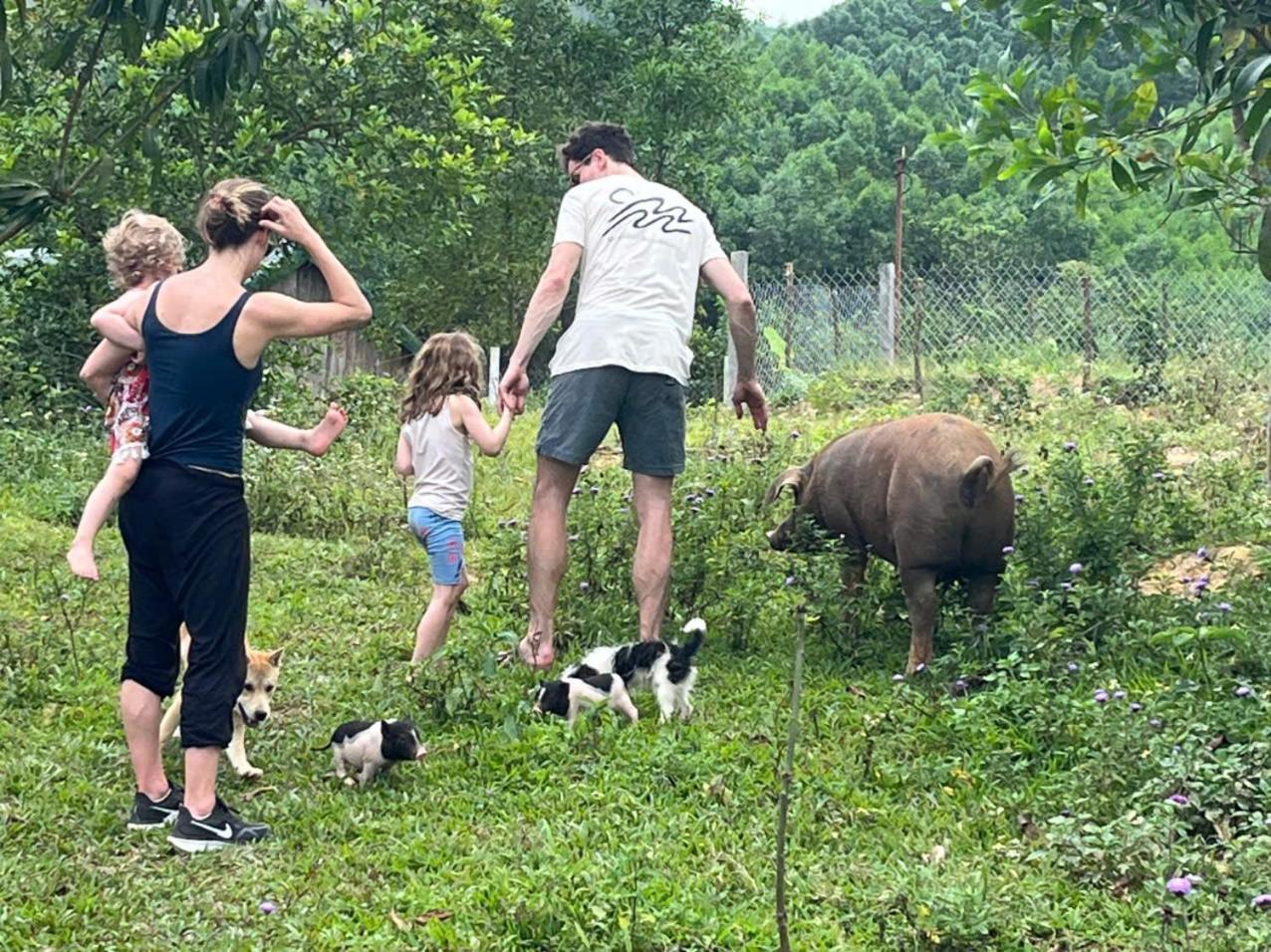Nguyen Shack Retreat Resort Phong Nha Eksteriør billede